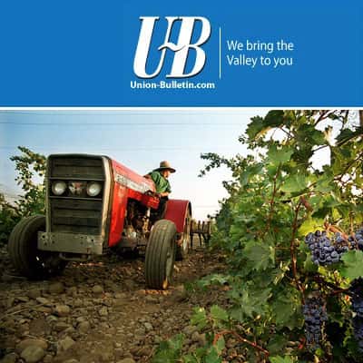 Union Bulletin ~ Wine from stone